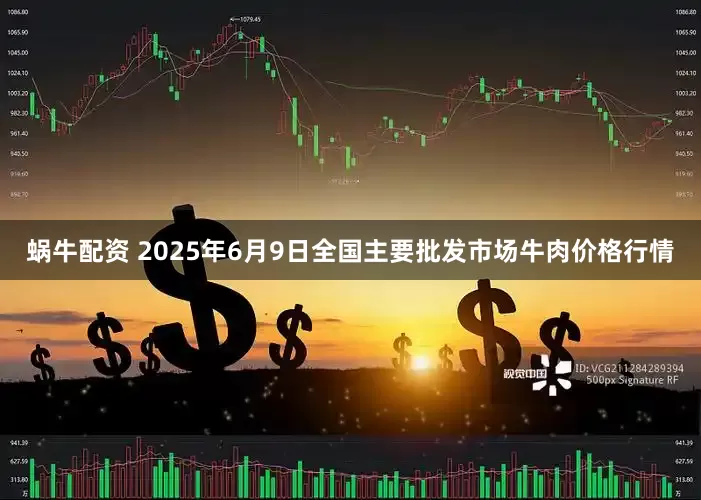 蜗牛配资 2025年6月9日全国主要批发市场牛肉价格行情