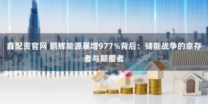 鑫配资官网 鹏辉能源暴增977%背后：储能战争的幸存者与颠覆者